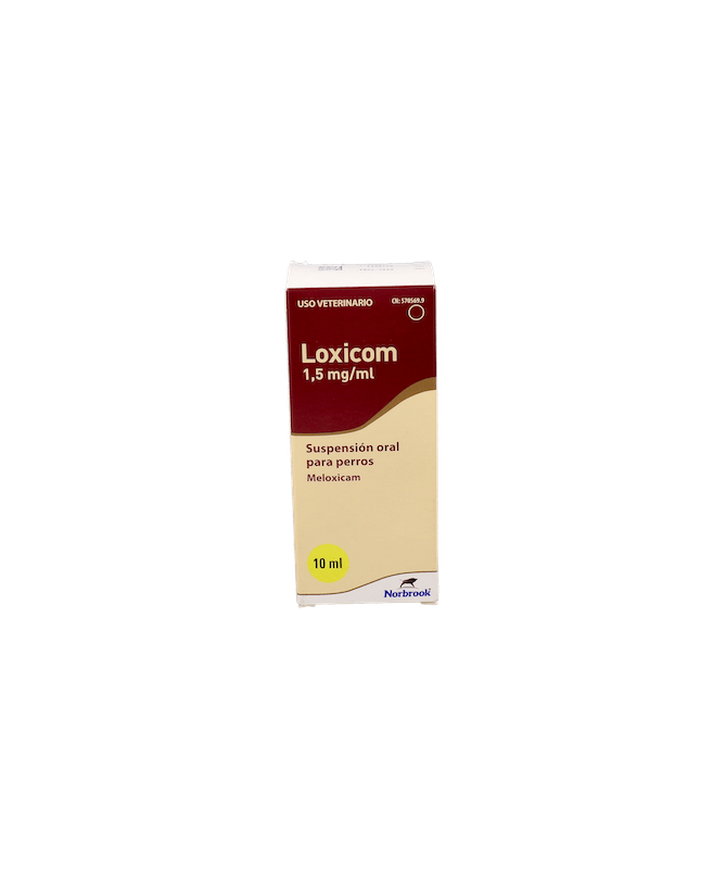 LOXICOM 1 LOXICOM 1