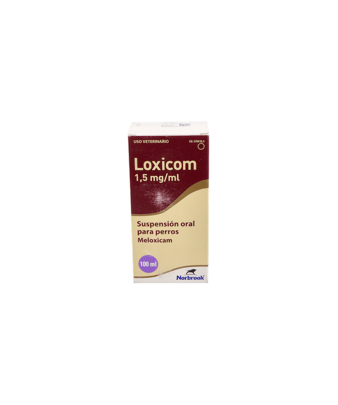 LOXICOM 1 LOXICOM 1