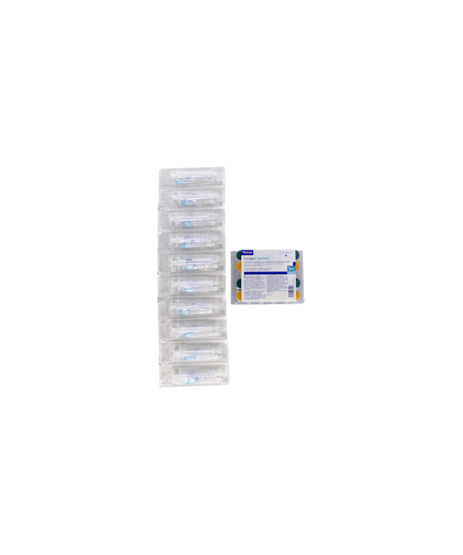 CANIGEN DHPPIL 7 10 DOSIS VIRBAC – foto del producto cada canigen dhppil CANIGEN DHPPIL 7 10 DOSIS VIRBAC – foto del producto cada canigen dhppil