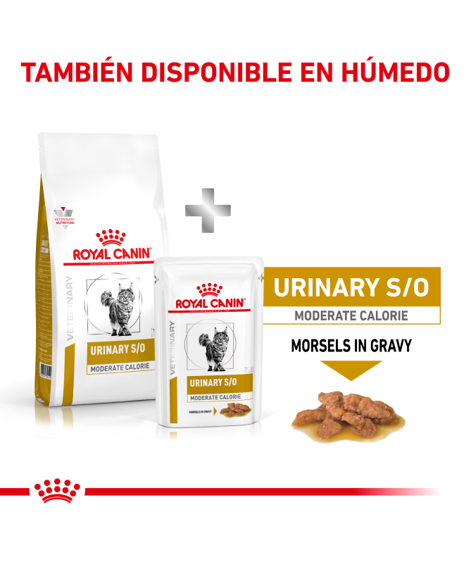 ROYAL VET FELINE URINARY MODERATE CALORIE UMC34 9KG – foto del producto tienes contacta nuestro ROYAL VET FELINE URINARY MODERATE CALORIE UMC34 9KG – foto del producto tienes contacta nuestro