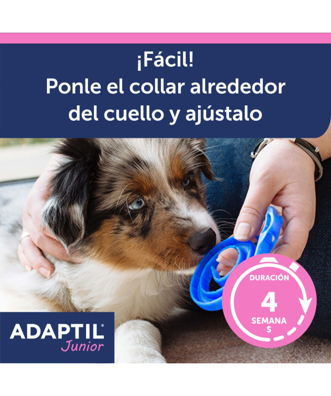 ADAPTIL COLLAR JUNIOR CACHORROS 1UD – foto del producto adaptil collar junior ADAPTIL COLLAR JUNIOR CACHORROS 1UD – foto del producto adaptil collar junior