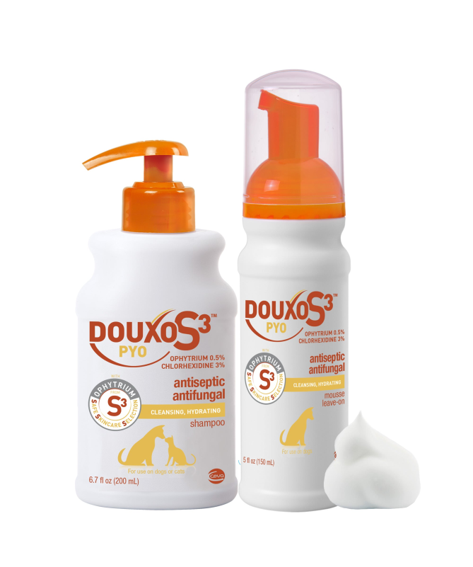 DOUXO S3 PYO MOUSSE 150ML – foto del producto douxo pyo mousse DOUXO S3 PYO MOUSSE 150ML – foto del producto douxo pyo mousse