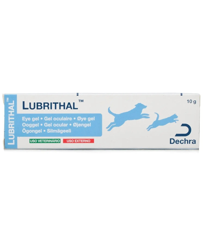 LUBRITHAL GEL OCULAR SEQUEDAD PERROS Y GATOS 10GR – foto del producto 010 lubrithal gel LUBRITHAL GEL OCULAR SEQUEDAD PERROS Y GATOS 10GR – foto del producto 010 lubrithal gel