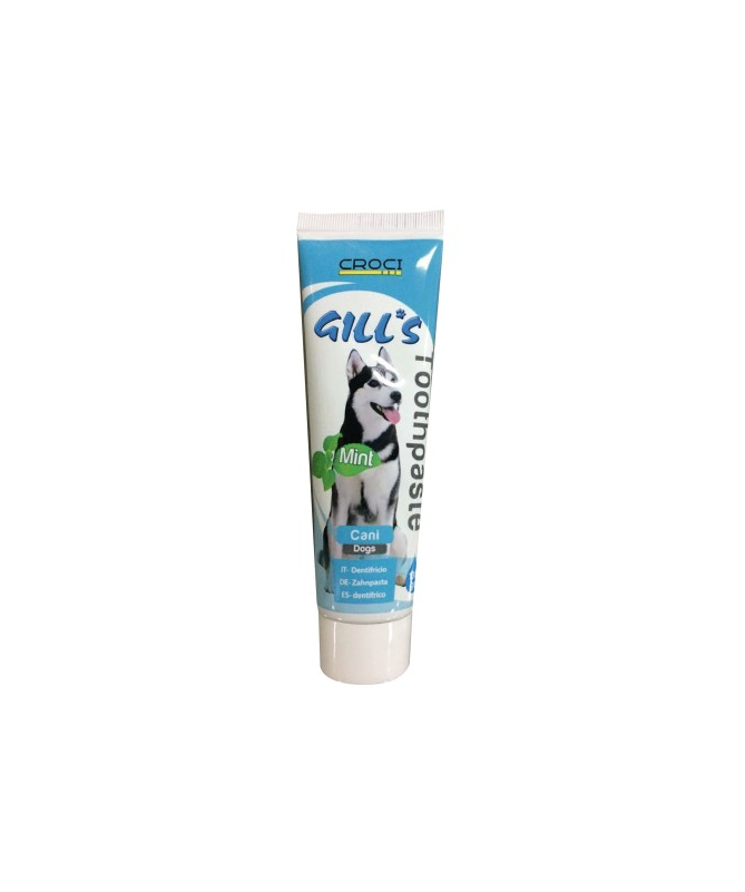 GILL S PASTA DE DIENTES MENTA 100G – foto del producto gill pasta dientes GILL S PASTA DE DIENTES MENTA 100G – foto del producto gill pasta dientes