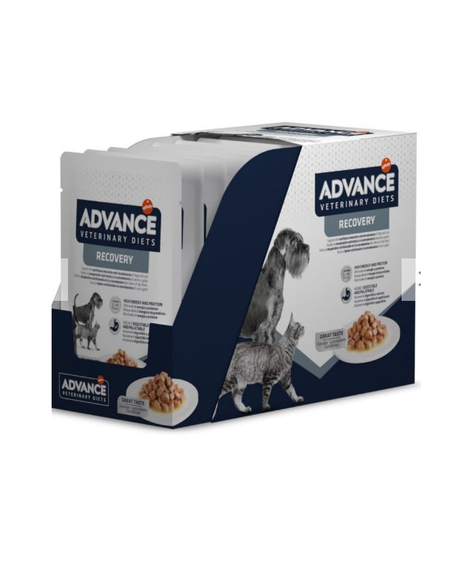 ADVANCE VET CANINE FELINE RECOVERY POUCH 11X100GR – foto del producto bruta subproductos pollo ADVANCE VET CANINE FELINE RECOVERY POUCH 11X100GR – foto del producto bruta subproductos pollo