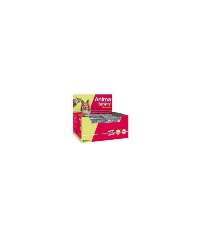 PROPLAN FELINE KITTEN OPTISTART 3 KG PROPLAN FELINE KITTEN OPTISTART 3 KG