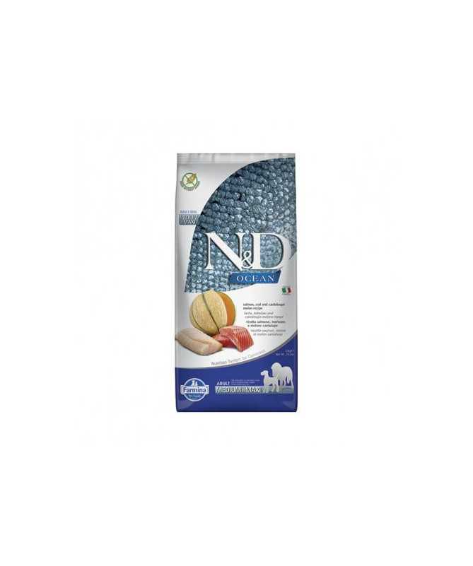 FILTRO ABSORBEDOR DE GASES ELIMINADOS SIN TUBO 1UD FILTRO ABSORBEDOR DE GASES ELIMINADOS SIN TUBO 1UD