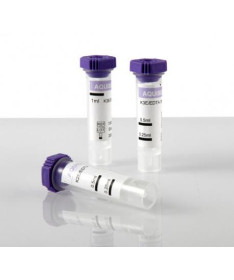 SONDA FOLEY 12FR / ?4