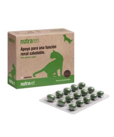 GUANTES CIRUGIA VASCO OP ECO SIN POLVO 7