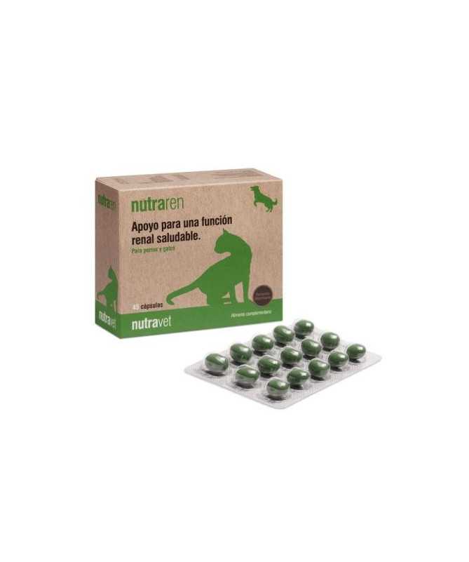 GUANTES CIRUGIA VASCO OP ECO SIN POLVO 7