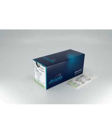GUANTES INTERIOR CIRUGIA VASCO OP S/POLVO 7