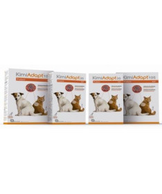 KJ3 CAT ADVANCED KIDNEY AND JOINT 1